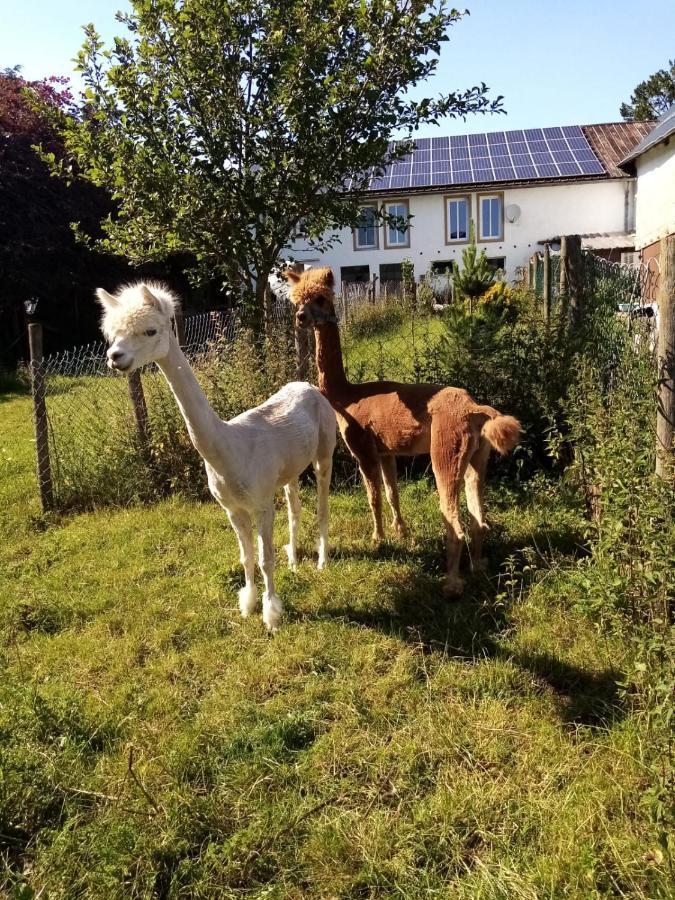 Herzfennerhof Mobilheim Appartement Auw bei Prum Buitenkant foto